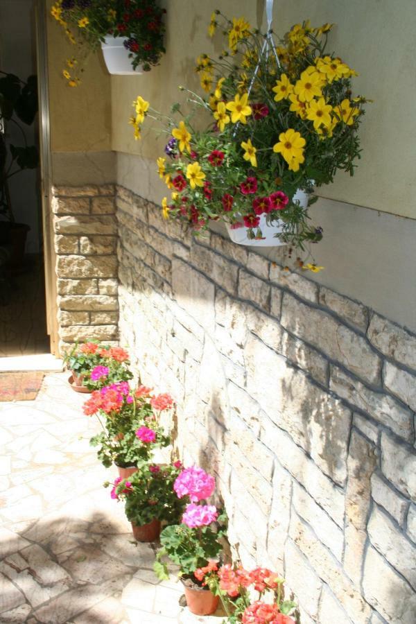 La Casa Di Rachele Apartment ซาร์เตอาโน ภายนอก รูปภาพ